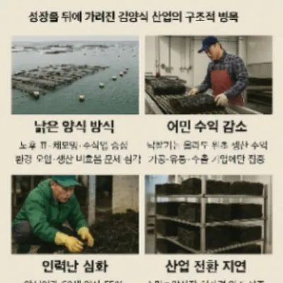 이슈&이슈 성장률 뒤에 가려진 김양식 산업의 구조적 병목K-김 세계 1위의 그늘… ‘위험한 낡은 시스템’에서 벗어나야 할 때