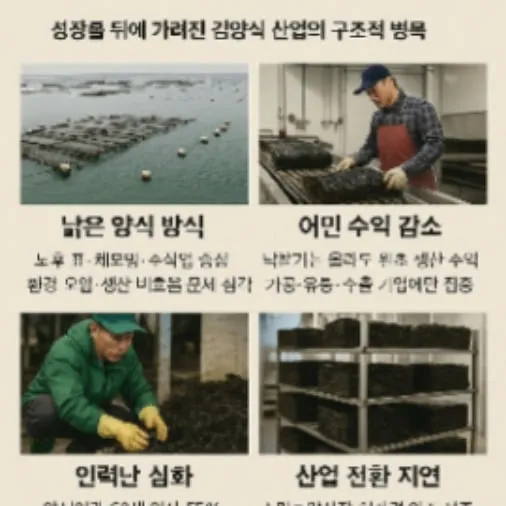 이슈&이슈  성장률 뒤에 가려진 김양식 산업의 구조적 병목K-김 세계 1위의 그늘… ‘위험한 낡은 시스템’에서 벗어나야 할 때